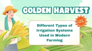 Different Types of Irrigation Systems Used in Modern Farming
