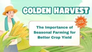 The Importance of Seasonal Farming for Better Crop Yield